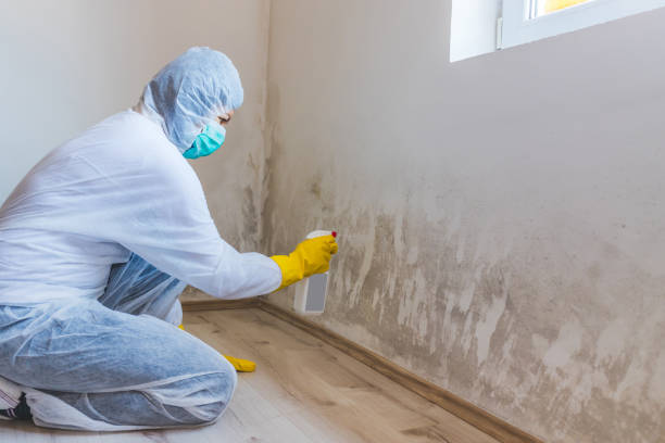 Licensed Commercial Mold Remediation service in Pittsboro, NC - WQB Mold Removal