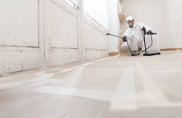 Trusted Commercial Mold Remediation service in Pittsboro, NC - WQB Mold Removal