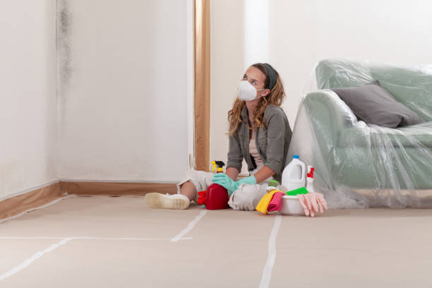 Reliable Commercial Mold Remediation contractor in Pittsboro, NC by WQB Mold Removal